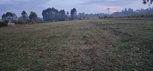 2 Acres Arable Land For Sale Kiplombe Kaptebengwet Eldoret