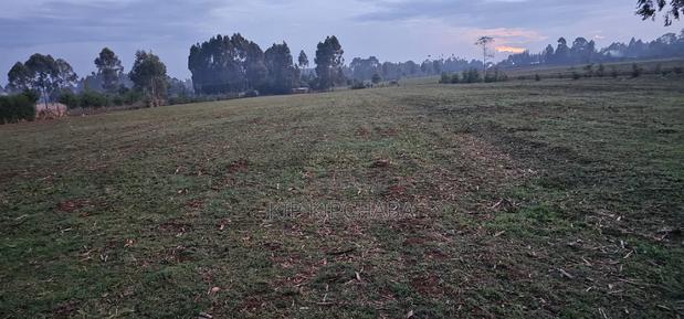 2 Acres Arable Land For Sale Kiplombe Kaptebengwet Eldoret - thumbnail 4