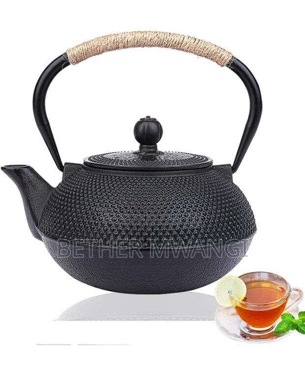 Japanese Cast Iron Tea Kettle Pot - main view