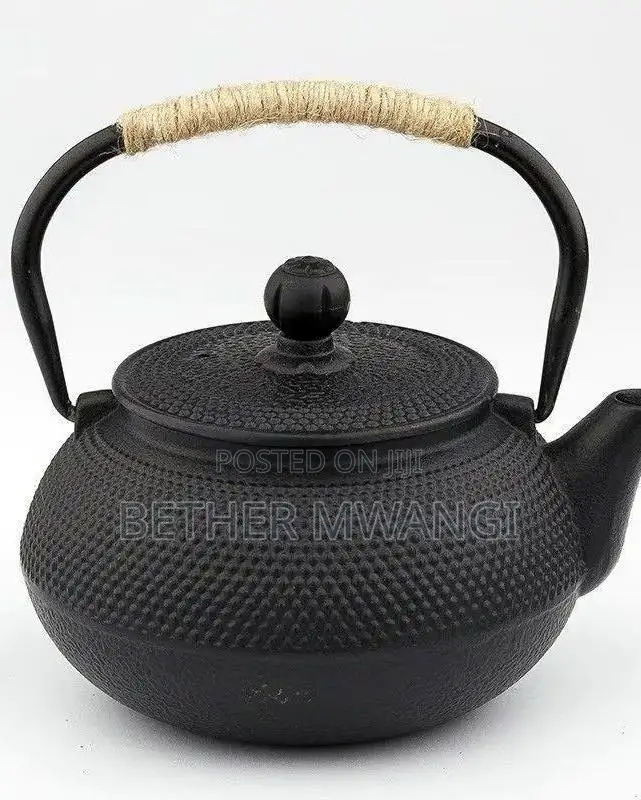 Japanese Cast Iron Tea Kettle Pot