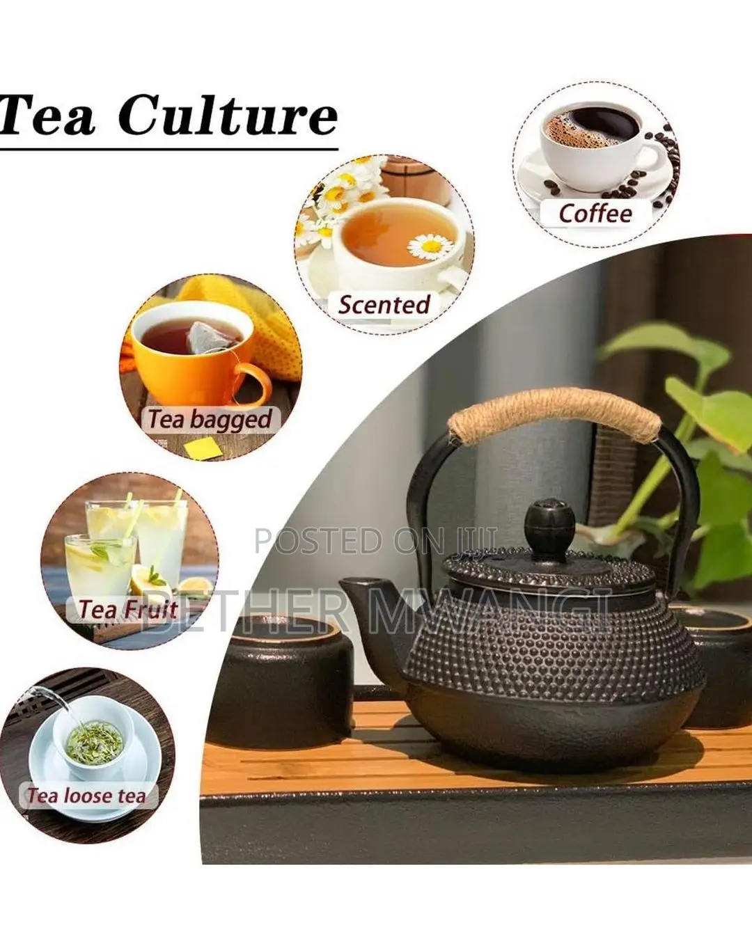 Japanese Cast Iron Tea Kettle Pot
