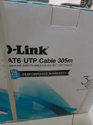 Dlink Cat 6A Cable