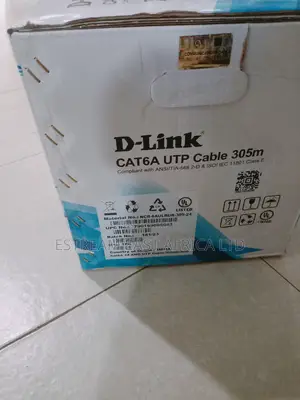 Dlink Cat 6A Cable