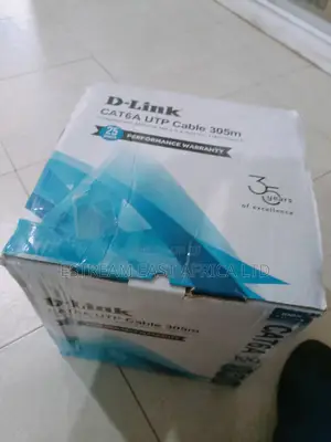 Dlink Cat 6A Cable