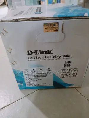 Dlink Cat 6A Cable