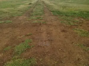 Mweiga /Kanyagia 6 Acres