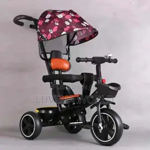 Tricycle With Canopy