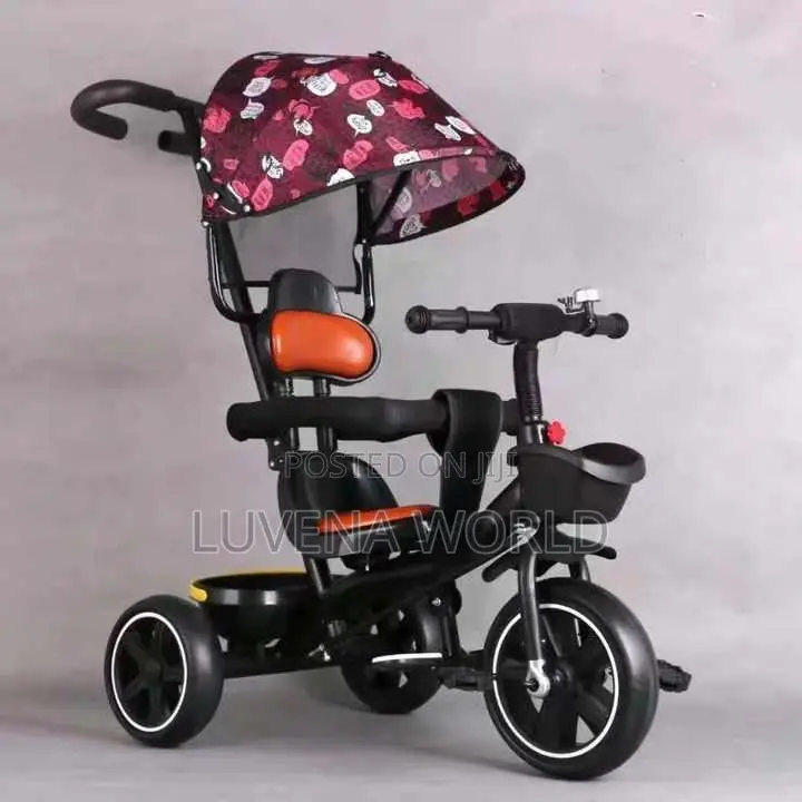 Tricycle With Canopy