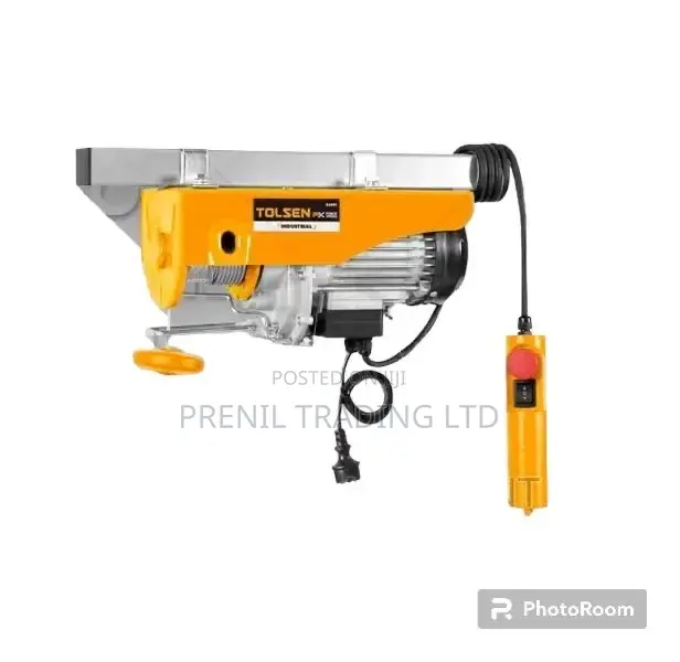 Electric Hoist 500kg