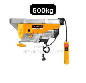 500kg Hoist Electric