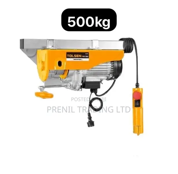 500kg Hoist Electric