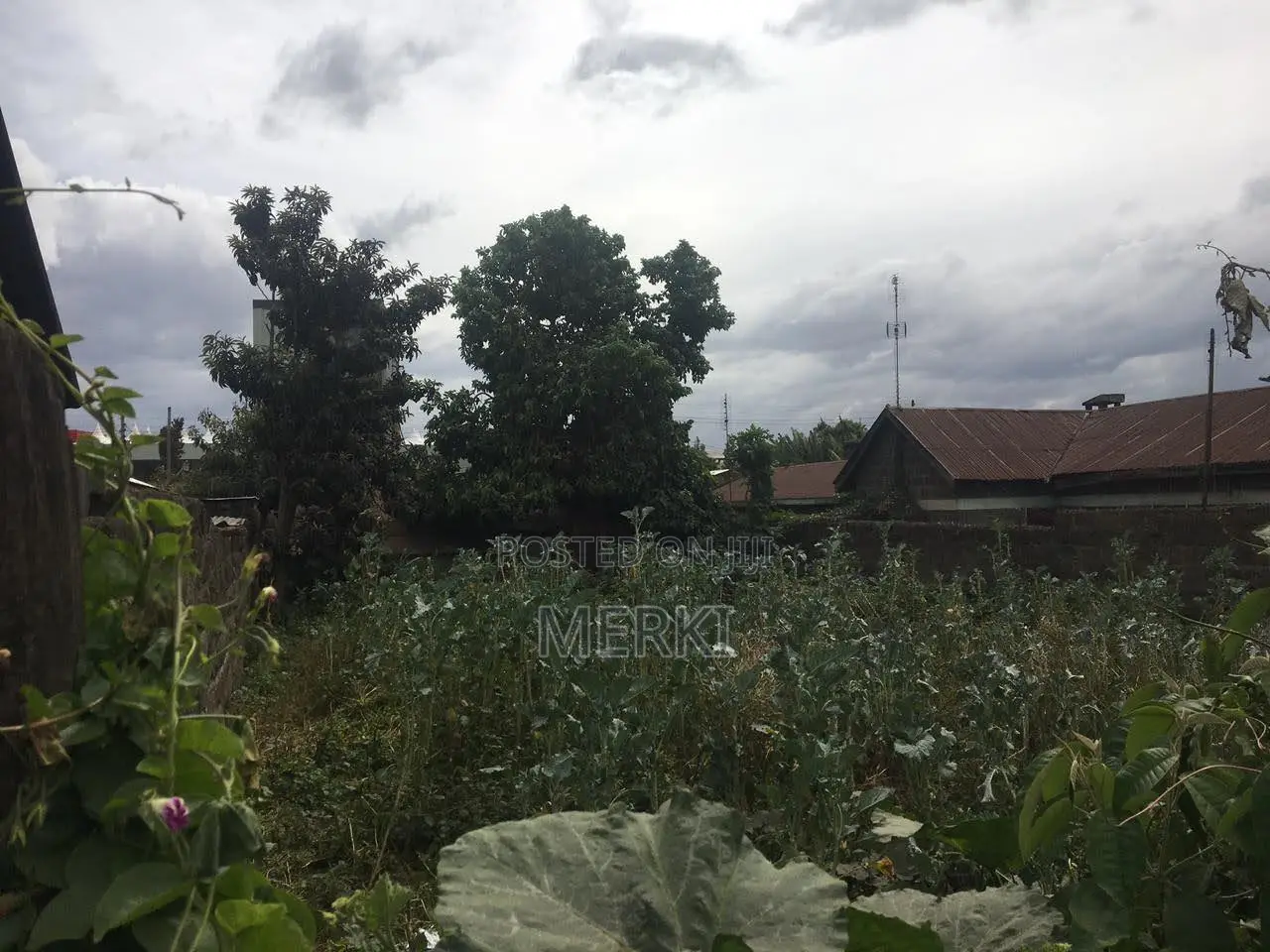 1/8th Acre Plot for Sale in Bangladesh, Nakuru