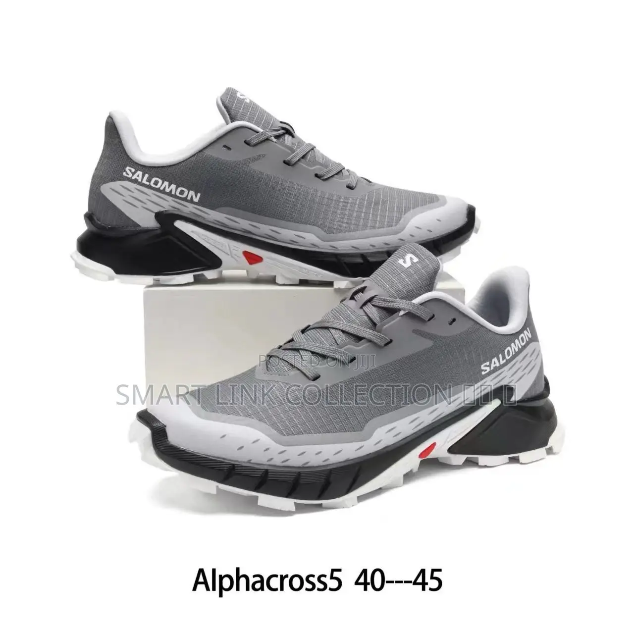 Alphacross Salomon Shoe