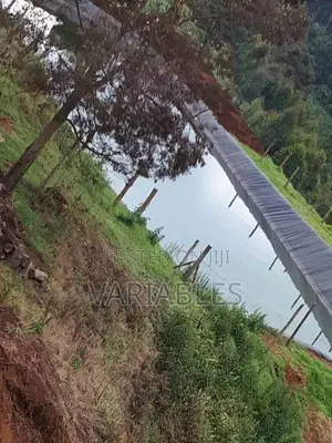 Dam Liners Fixing