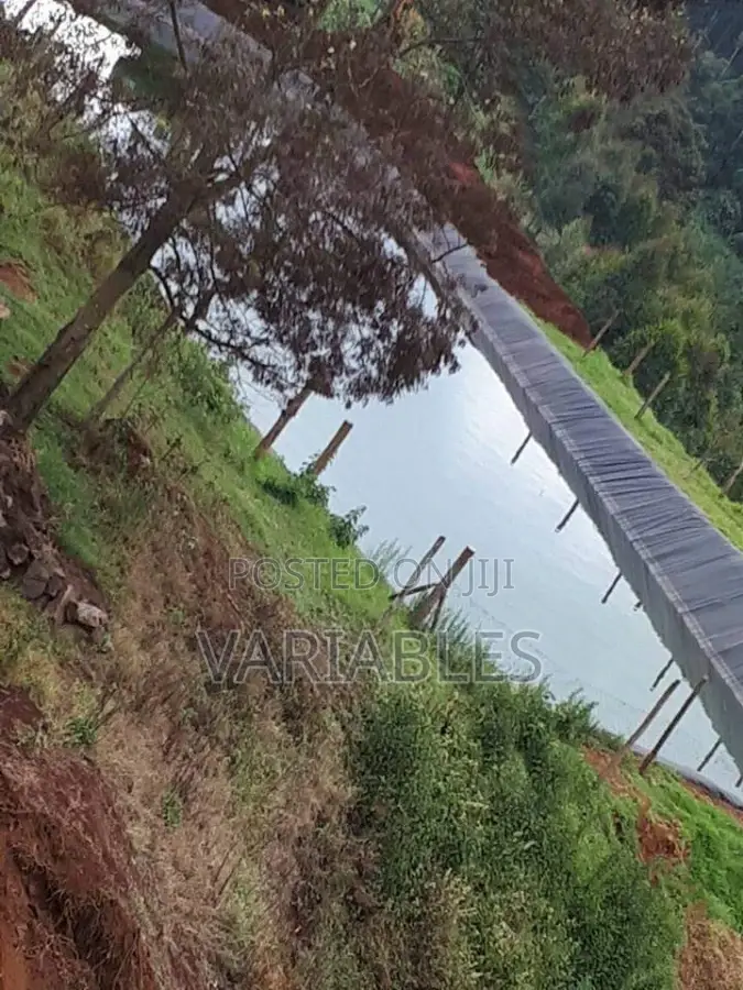 Dam Liners Fixing