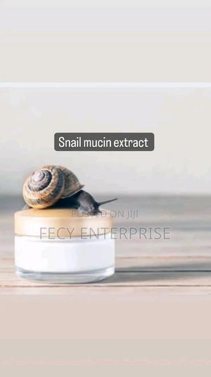 Snail Mucin Extract Powder - main view