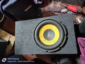 12inches Sony Xplode Speaker.