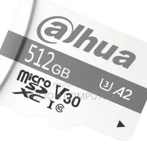 Dahua TF-P100/512GB 512GB Dahua Microsd Card