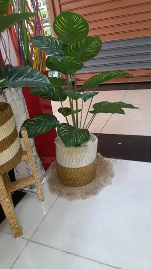 Basket And Plant Artificial On Offer
