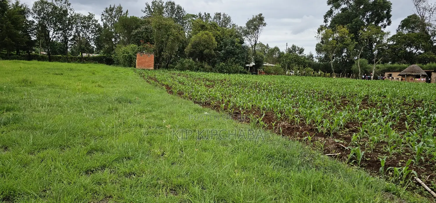 Prime 5 Acres Land for Sale in Kapseret Eldoret