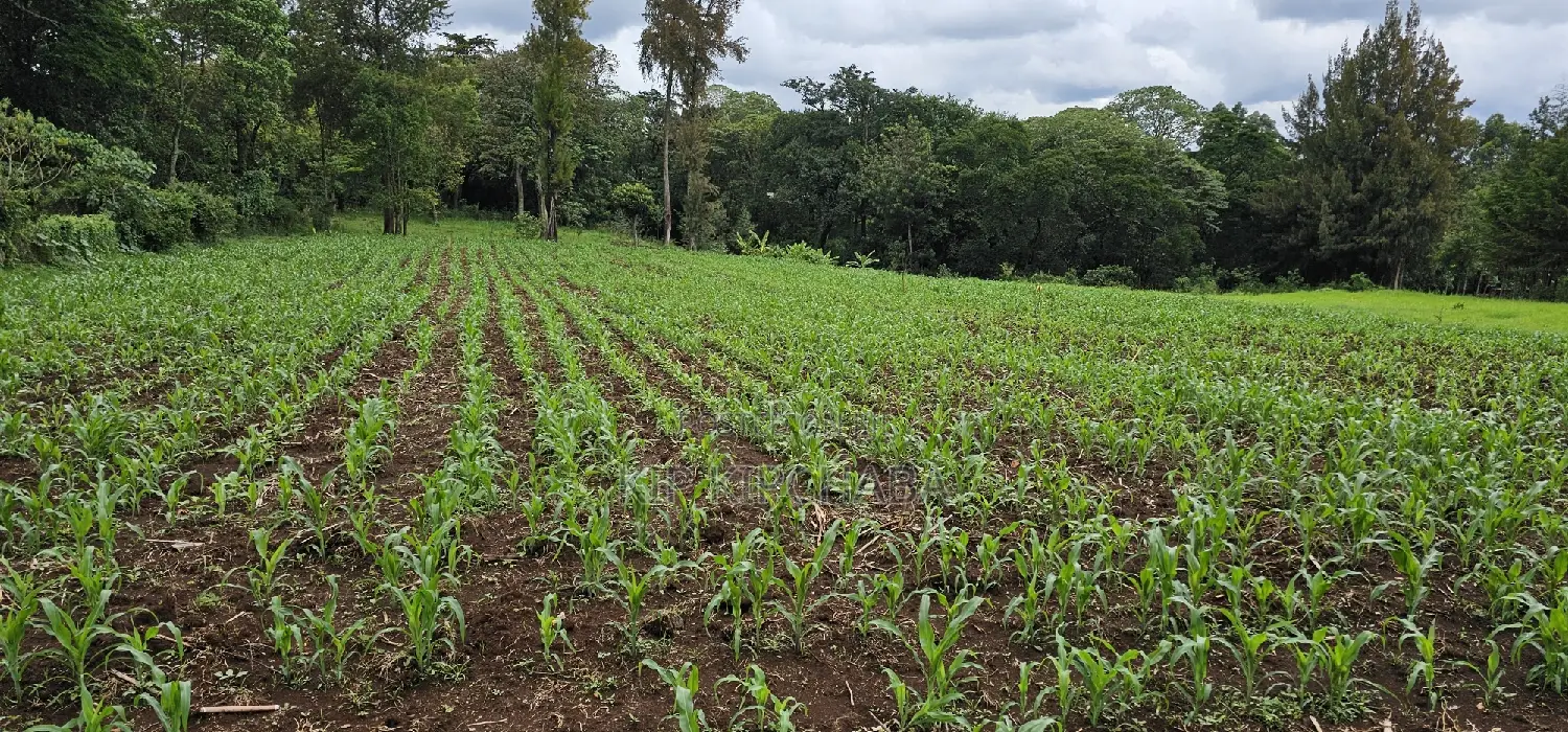 Prime 5 Acres Land for Sale in Kapseret Eldoret