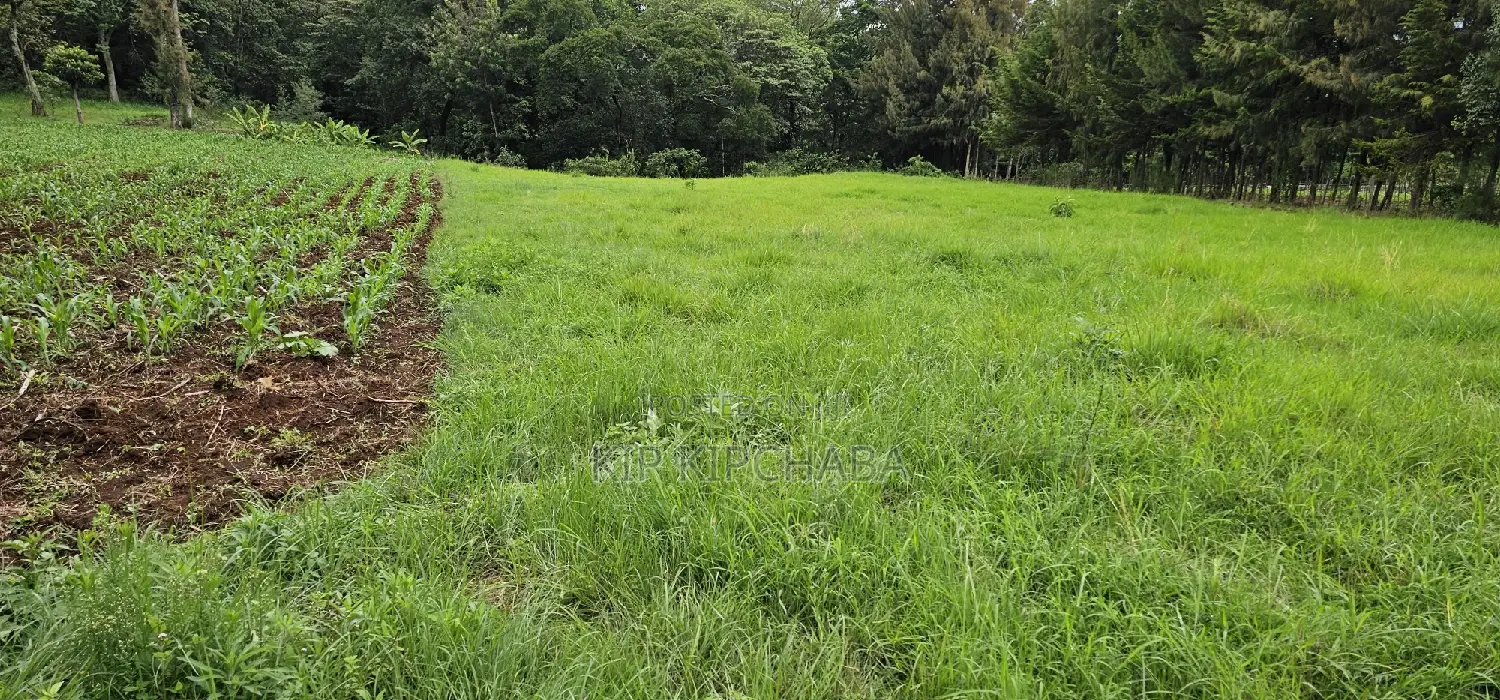 Prime 5 Acres Land for Sale in Kapseret Eldoret