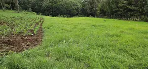 Prime 5 Acres Land for Sale in Kapseret Eldoret