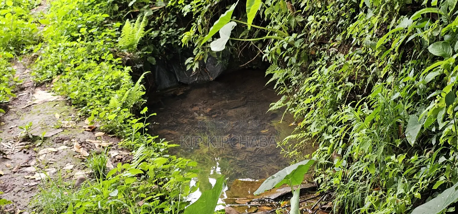 Prime 5 Acres Land for Sale in Kapseret Eldoret