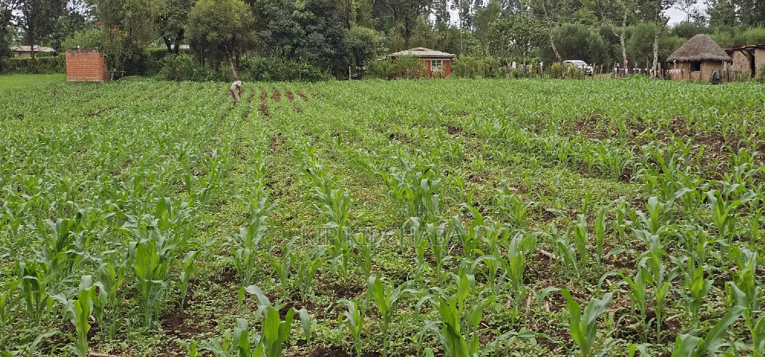 Prime 5 Acres Land for Sale in Kapseret Eldoret
