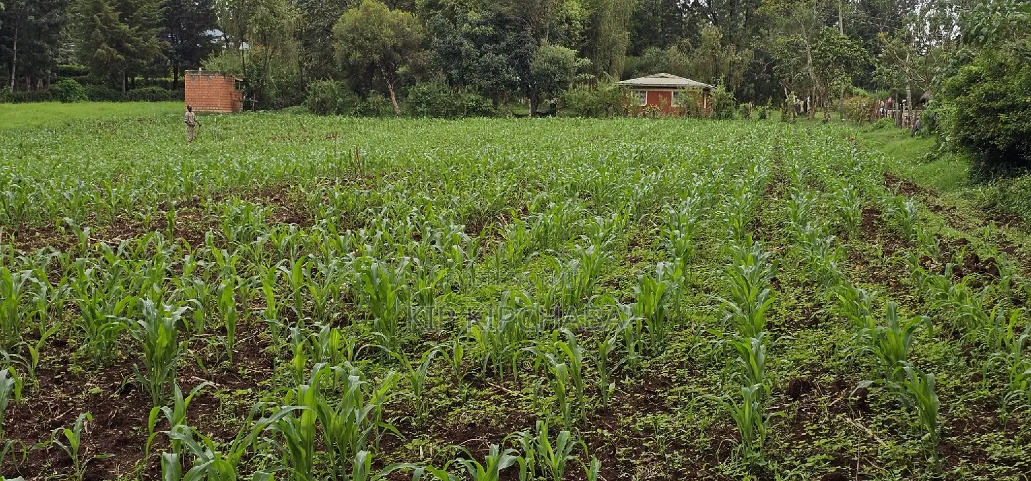 Prime 5 Acres Land for Sale in Kapseret Eldoret