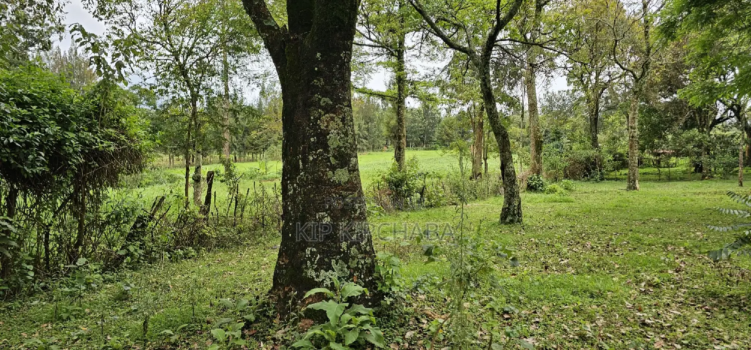Prime 5 Acres Land for Sale in Kapseret Eldoret