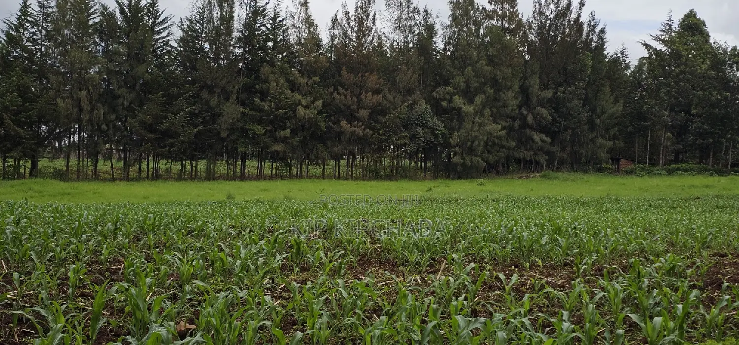 Prime 5 Acres Land for Sale in Kapseret Eldoret