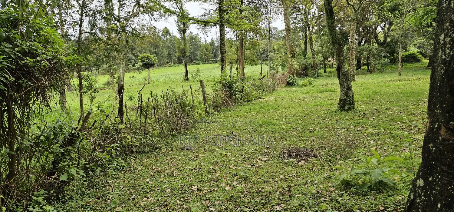 Prime 5 Acres Land for Sale in Kapseret Eldoret