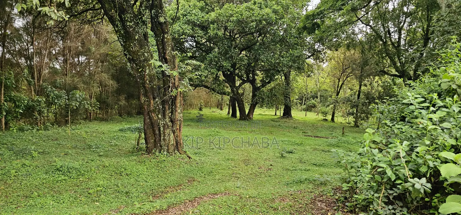 Prime 5 Acres Land for Sale in Kapseret Eldoret