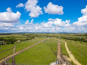 Plots for Sale in Malaa^TW - thumbnail 2