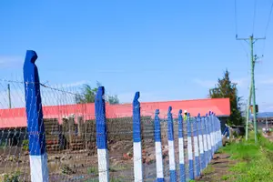 1 Acre Commercial Land in Malaa^AC