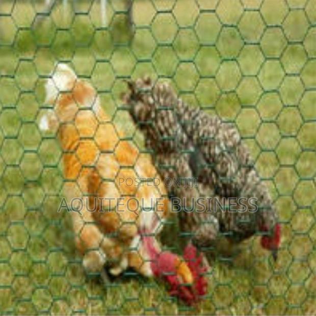 Chicken Wire 1" 3ft