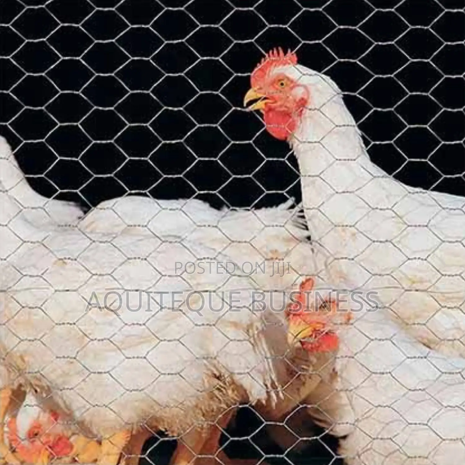 Chicken Wire Wholesale Prices