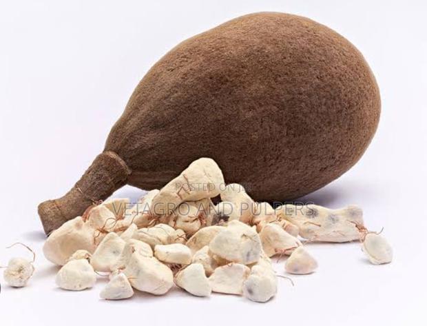 Baobab Seed Powder - thumbnail 3