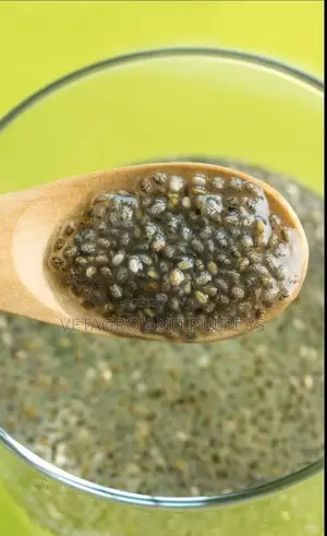 Chia Seeds (Salvia Hispanica)