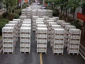 Solar Storage Lithium Battery and Commercial Energy Storage