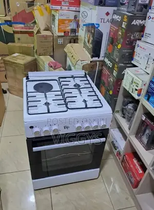 Amazing BJS Standing Cooker 60 by 60