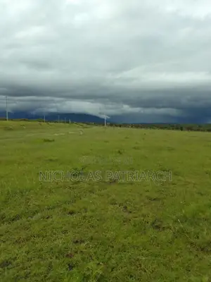 54 Acres Lukenya Near Golden Africa Selling at 19m Per Acre.