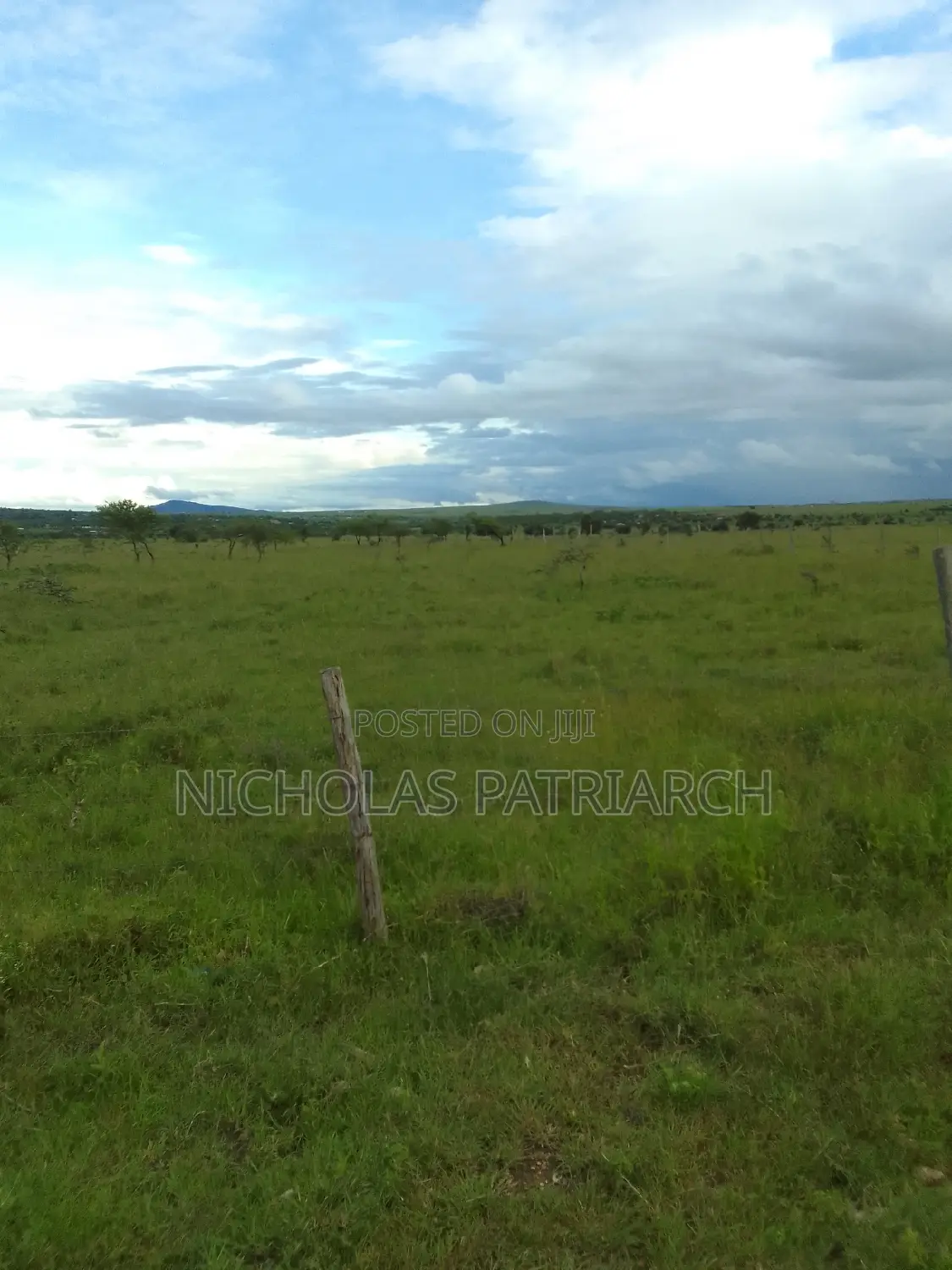 54 Acres Lukenya Near Golden Africa Selling at 19m Per Acre.