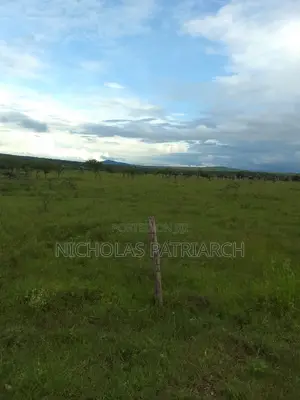 54 Acres Lukenya Near Golden Africa Selling at 19m Per Acre.