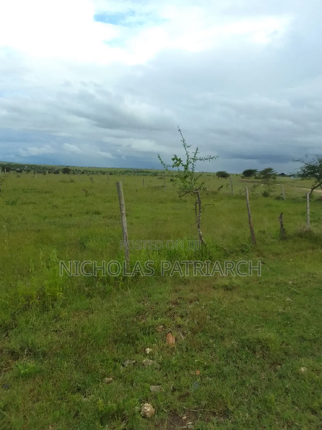54 Acres Lukenya Near Golden Africa Selling at 19m Per Acre.