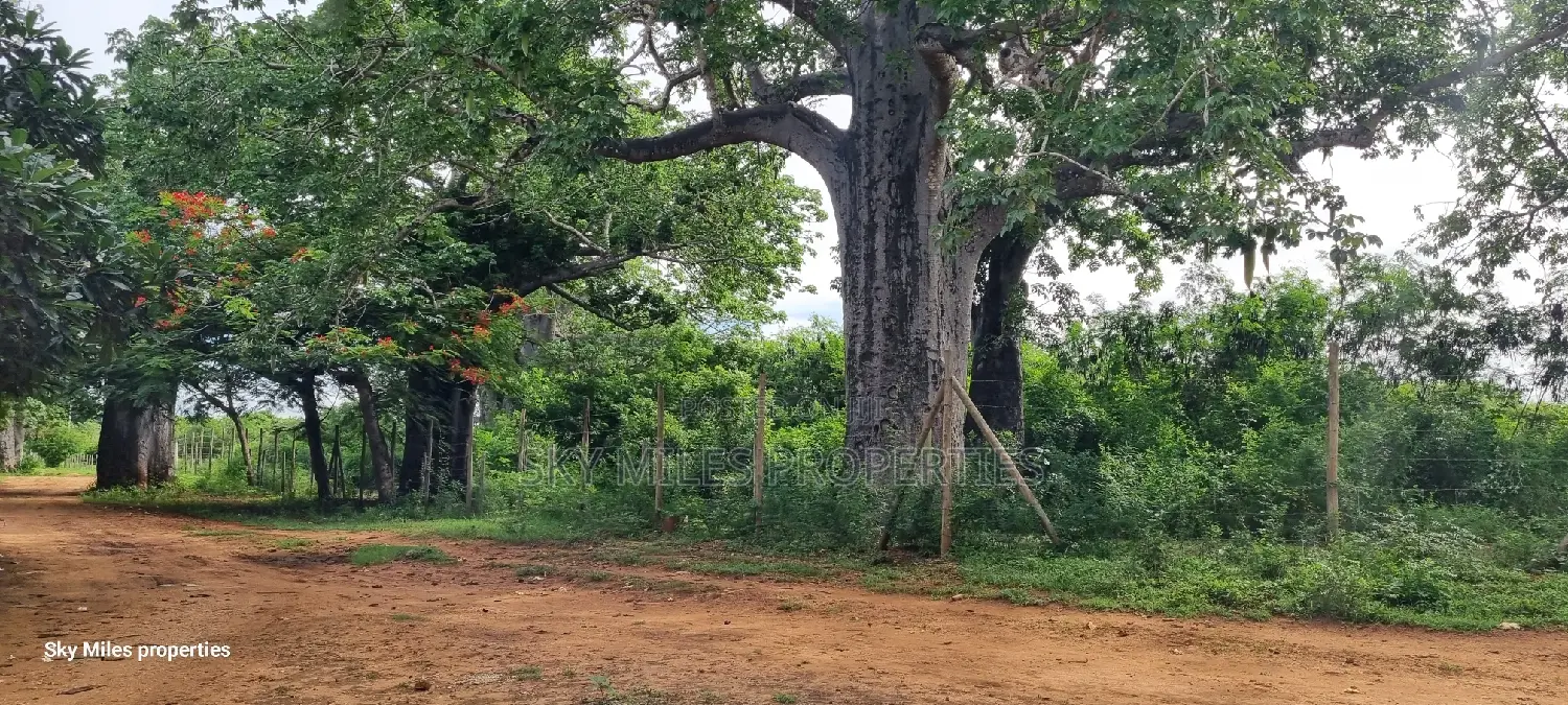 Bofa Kilifi, a Parcel of 6 Acres for Sale