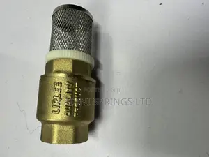 Peglar Foot Valve (3/4inch, 1inch Available)