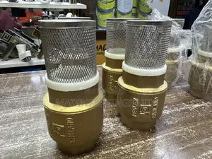 Peglar Foot Valve (3/4inch, 1inch Available)