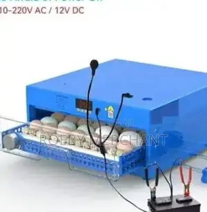 Ideal Egg Incubator